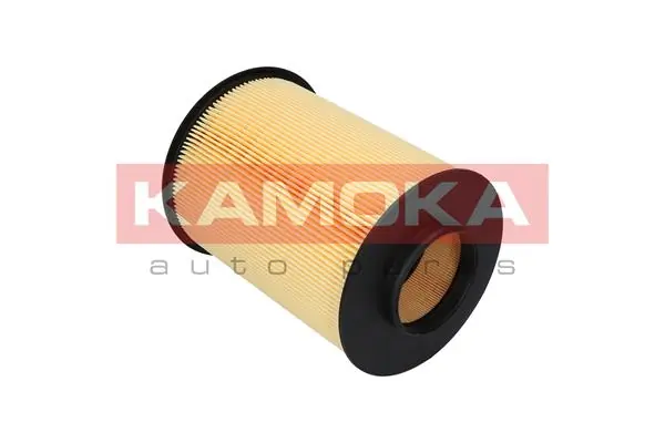 Air Filter F215801