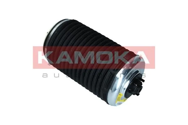 Air Spring, suspension 2079003