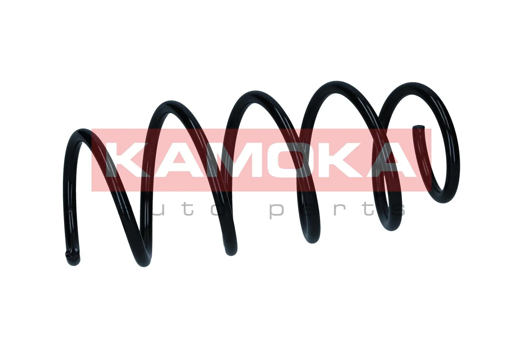 Suspension Spring 2110547