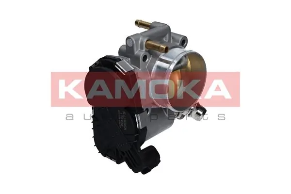 Throttle Body 112016