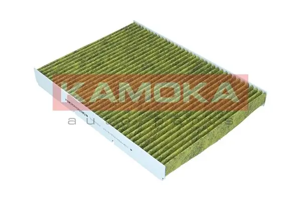 Filter, cabin air 6080030