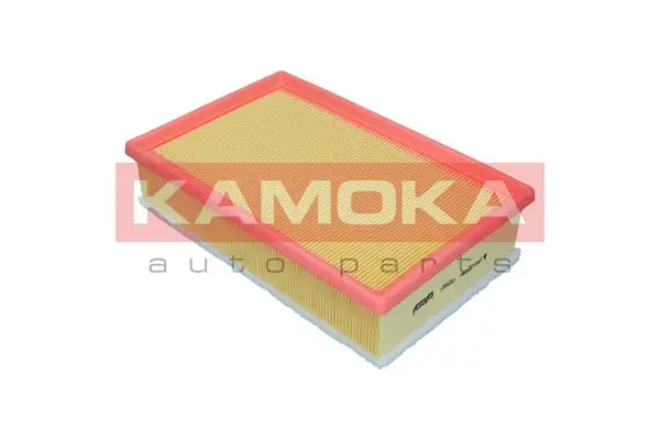 Air Filter F255201