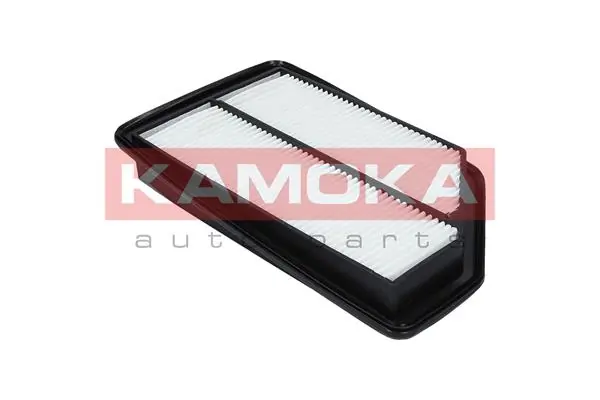 Air Filter F211601
