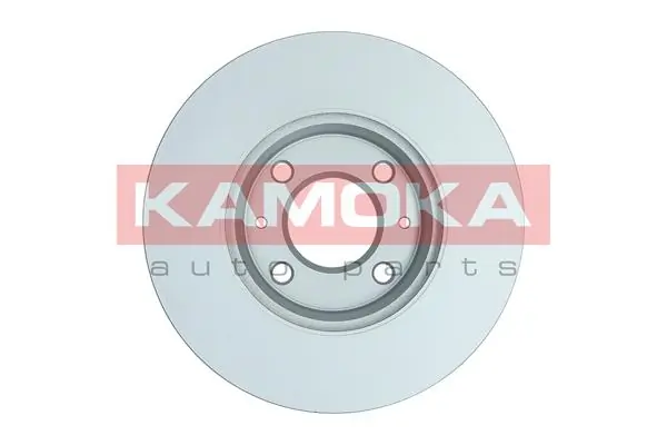 Brake Disc 103571