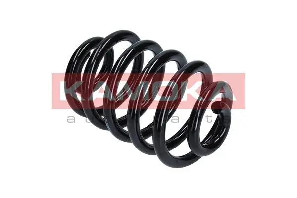 Suspension Spring 2120132