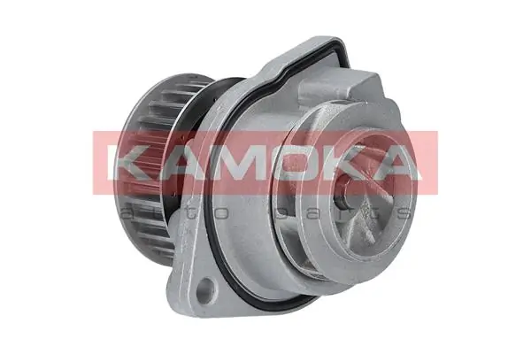 Water Pump, engine cooling T0248