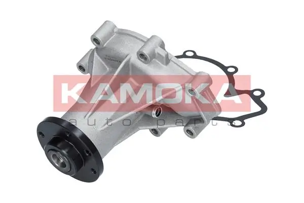 Water Pump, engine cooling T0184
