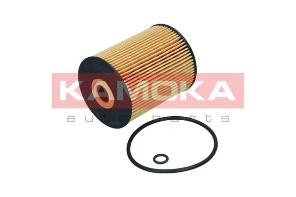 Oil Filter F129501