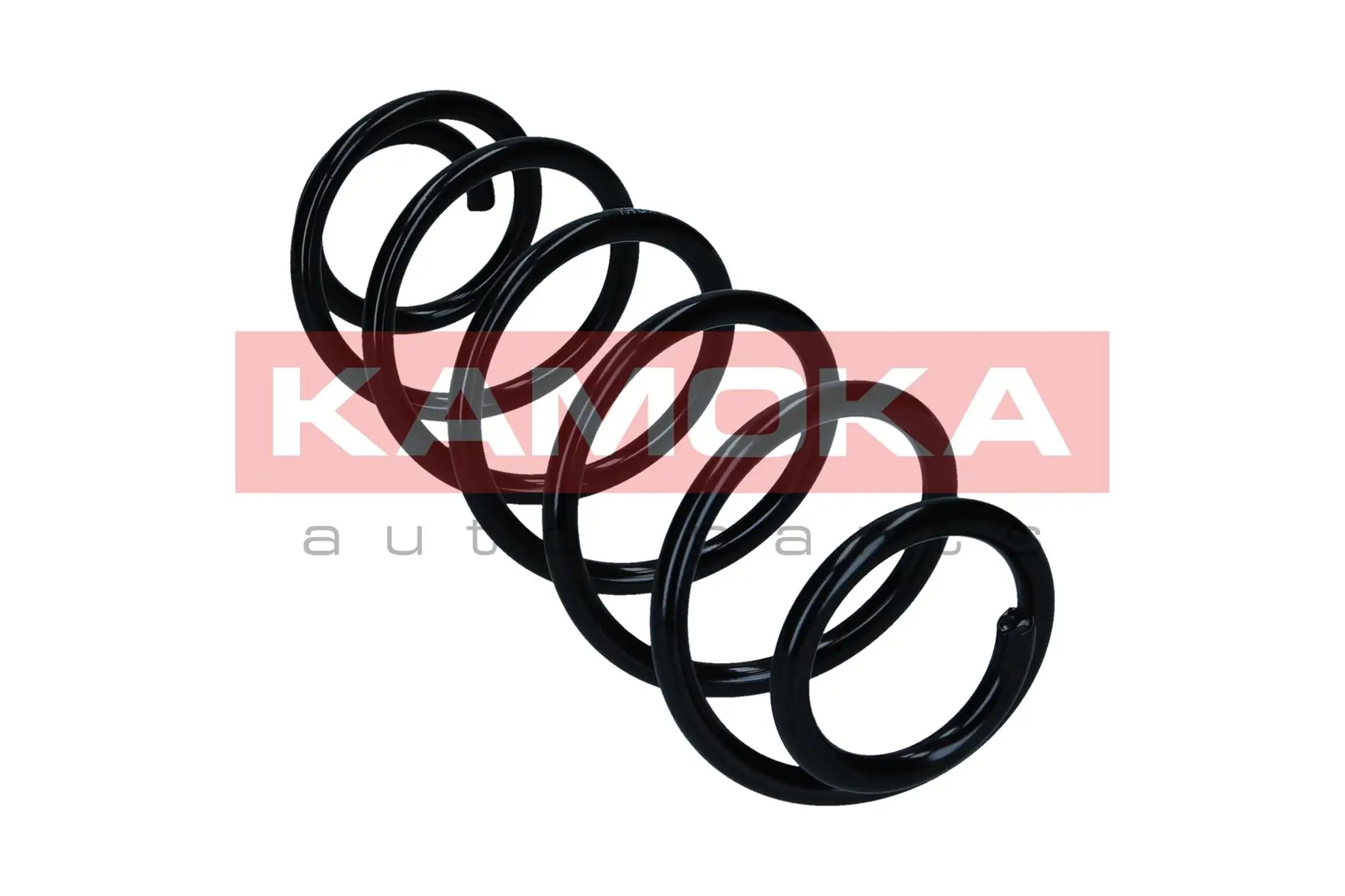 Suspension Spring 2120580