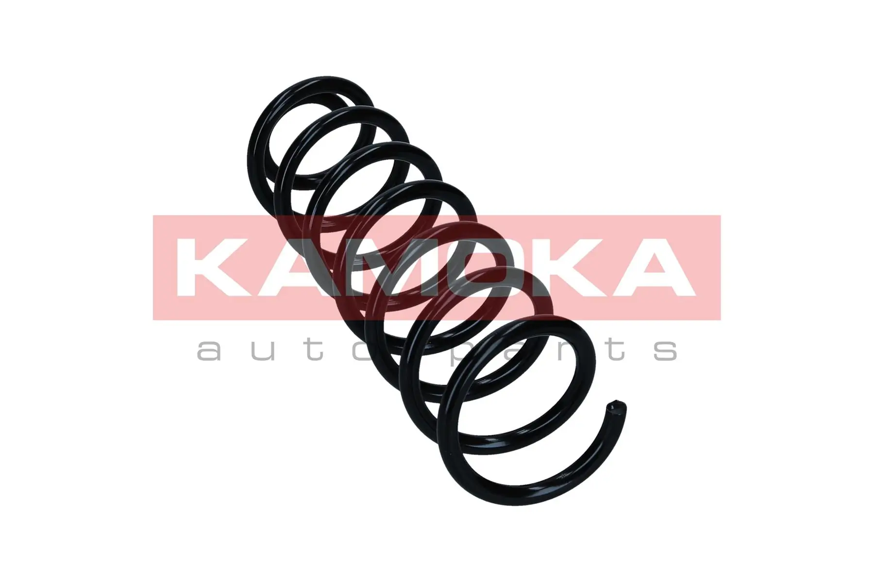 Suspension Spring 2120584