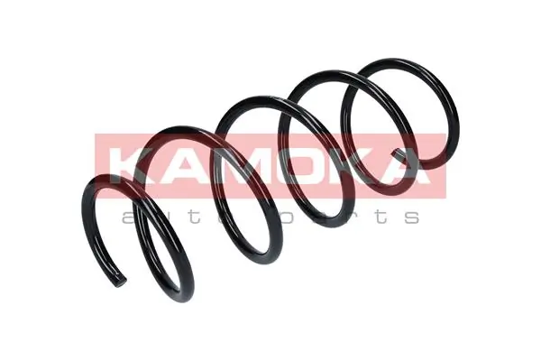 Suspension Spring 2110237