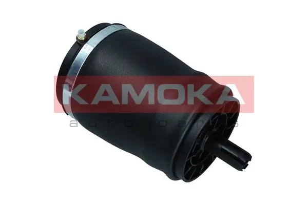 Air Spring, suspension 2079031