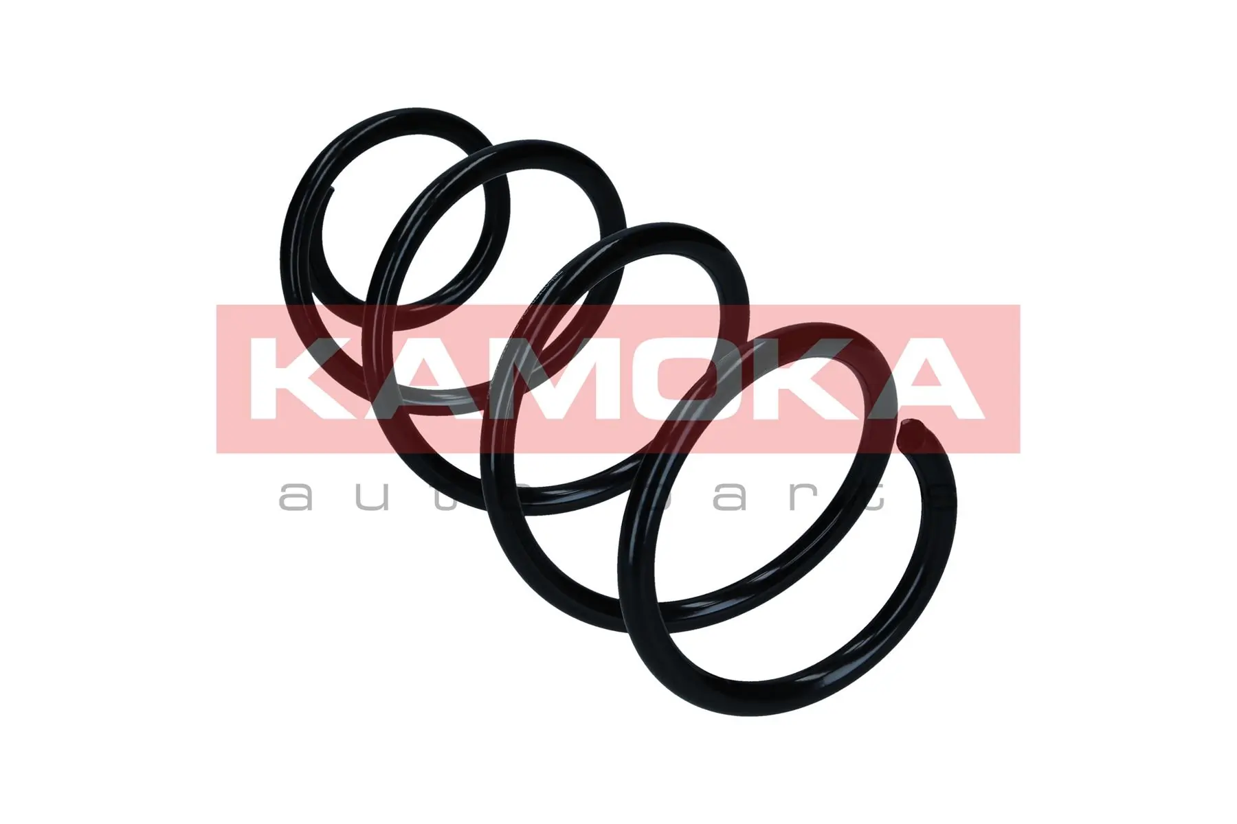 Suspension Spring 2110593