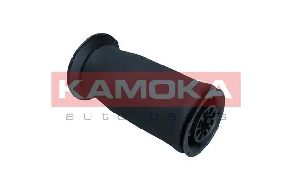 Air Spring, suspension 2079016