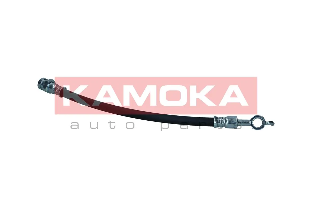 Brake Hose 1170119