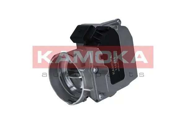 Throttle Body 112011