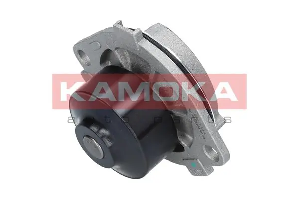 Water Pump, engine cooling T0113