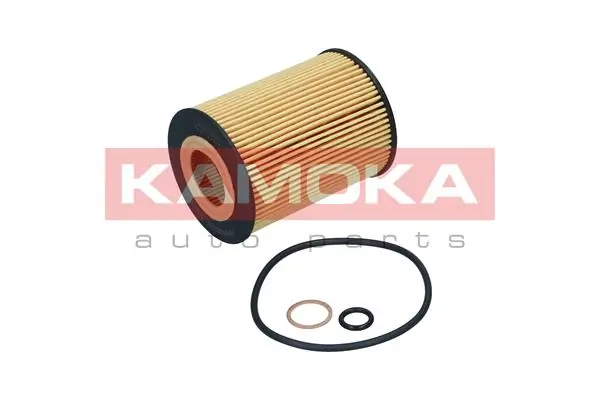 Oil Filter F125801