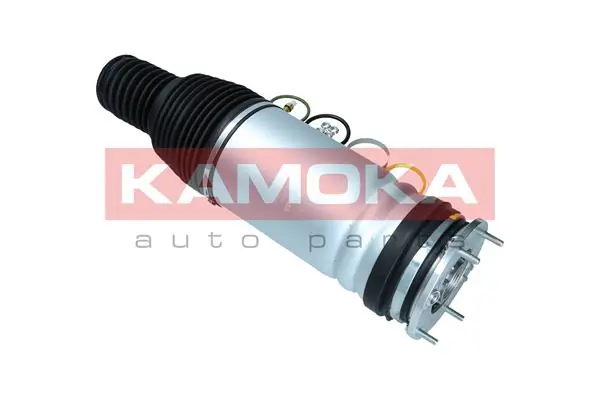 Air Spring, suspension 2079035