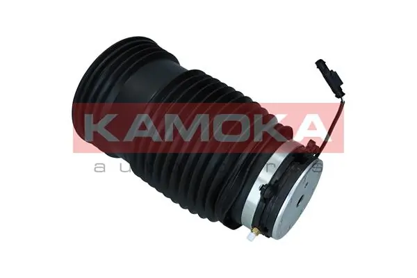 Air Spring, suspension 2079051