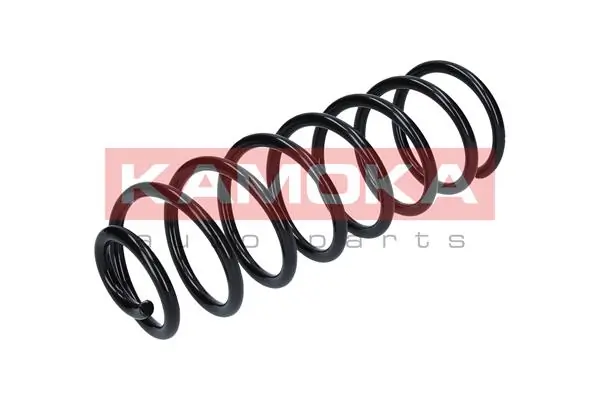 Suspension Spring 2120070