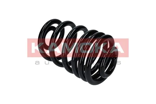 Suspension Spring 2120312