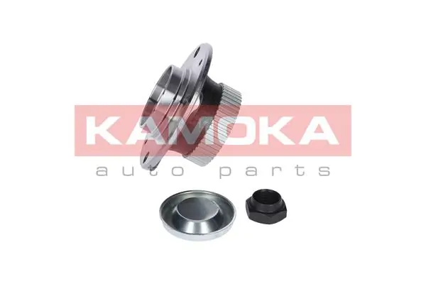 Wheel Bearing Kit 5500003