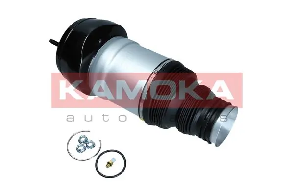 Air Spring, suspension 2079046