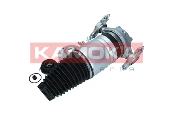 Air Spring, suspension 2079013