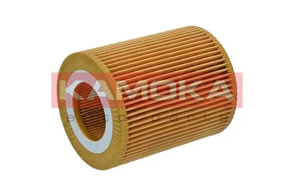 Oil Filter F123801