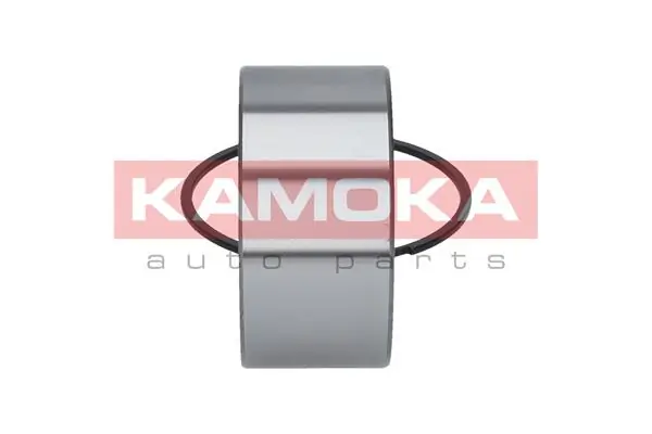 Wheel Bearing Kit 5600037