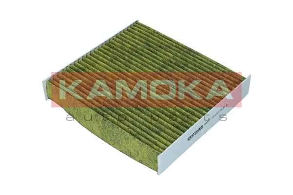 Filter, cabin air 6080079