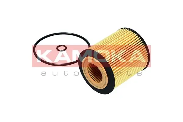 Oil Filter F120101