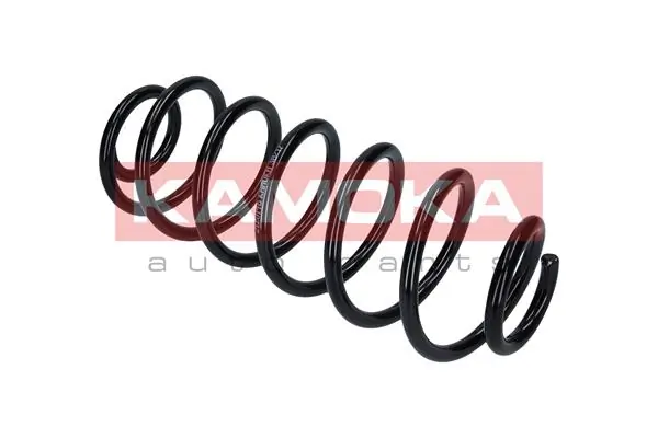 Suspension Spring 2120175