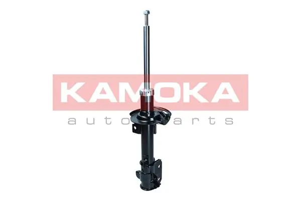 Shock Absorber 2000494