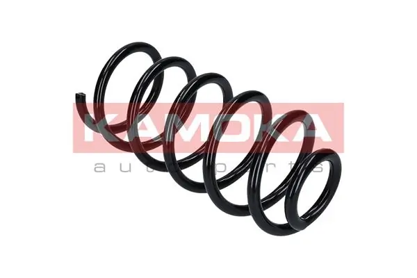 Suspension Spring 2120023