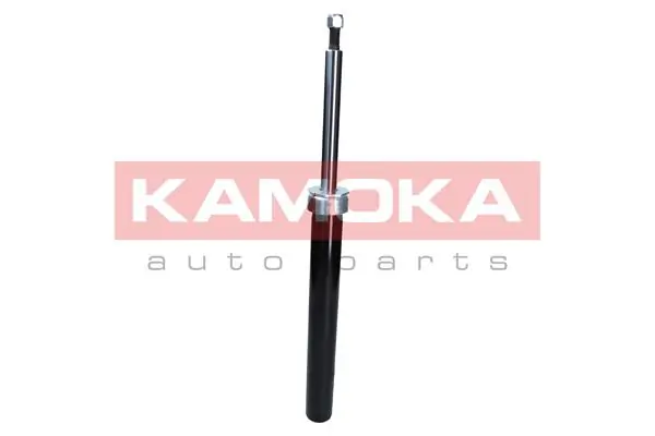 Shock Absorber 2000955