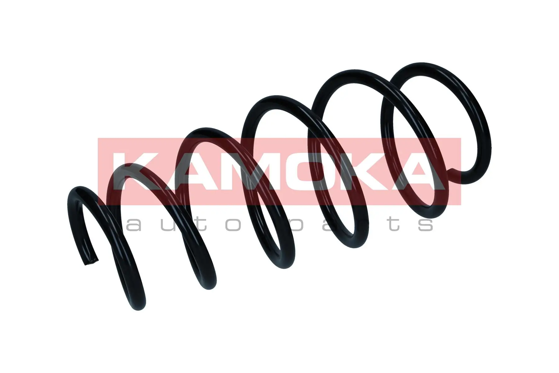 Suspension Spring 2110744