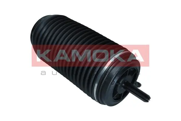 Air Spring, suspension 2079062