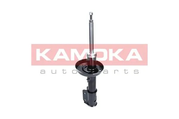 Shock Absorber 2000419