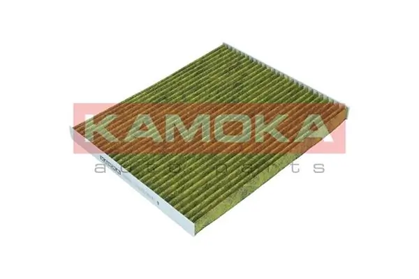 Filter, cabin air 6080039