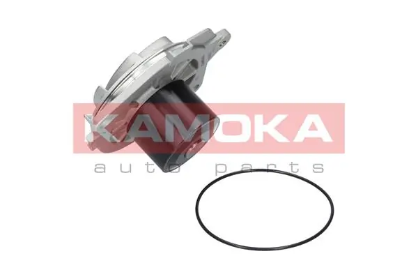 Water Pump, engine cooling T0002