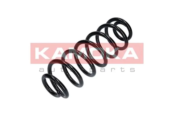 Suspension Spring 2120488