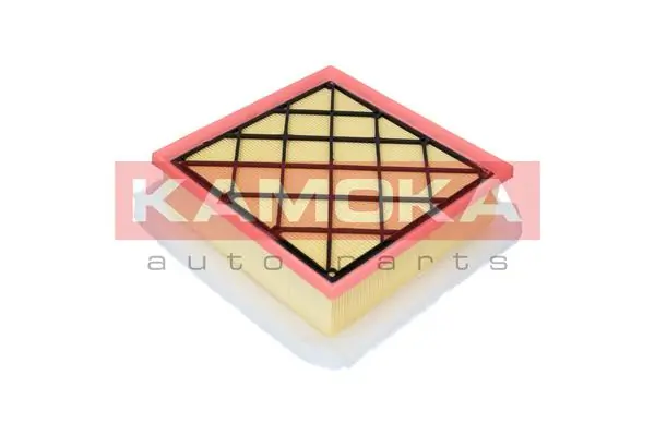 Air Filter F222301