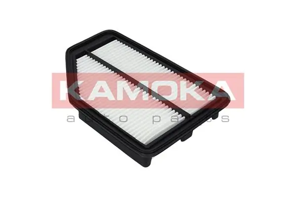 Air Filter F225801