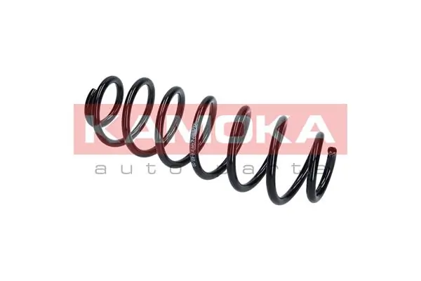 Suspension Spring 2120107