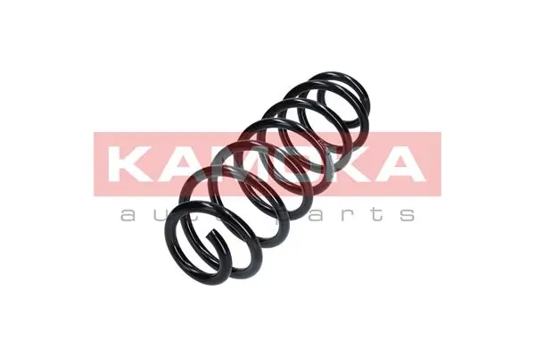 Suspension Spring 2120107