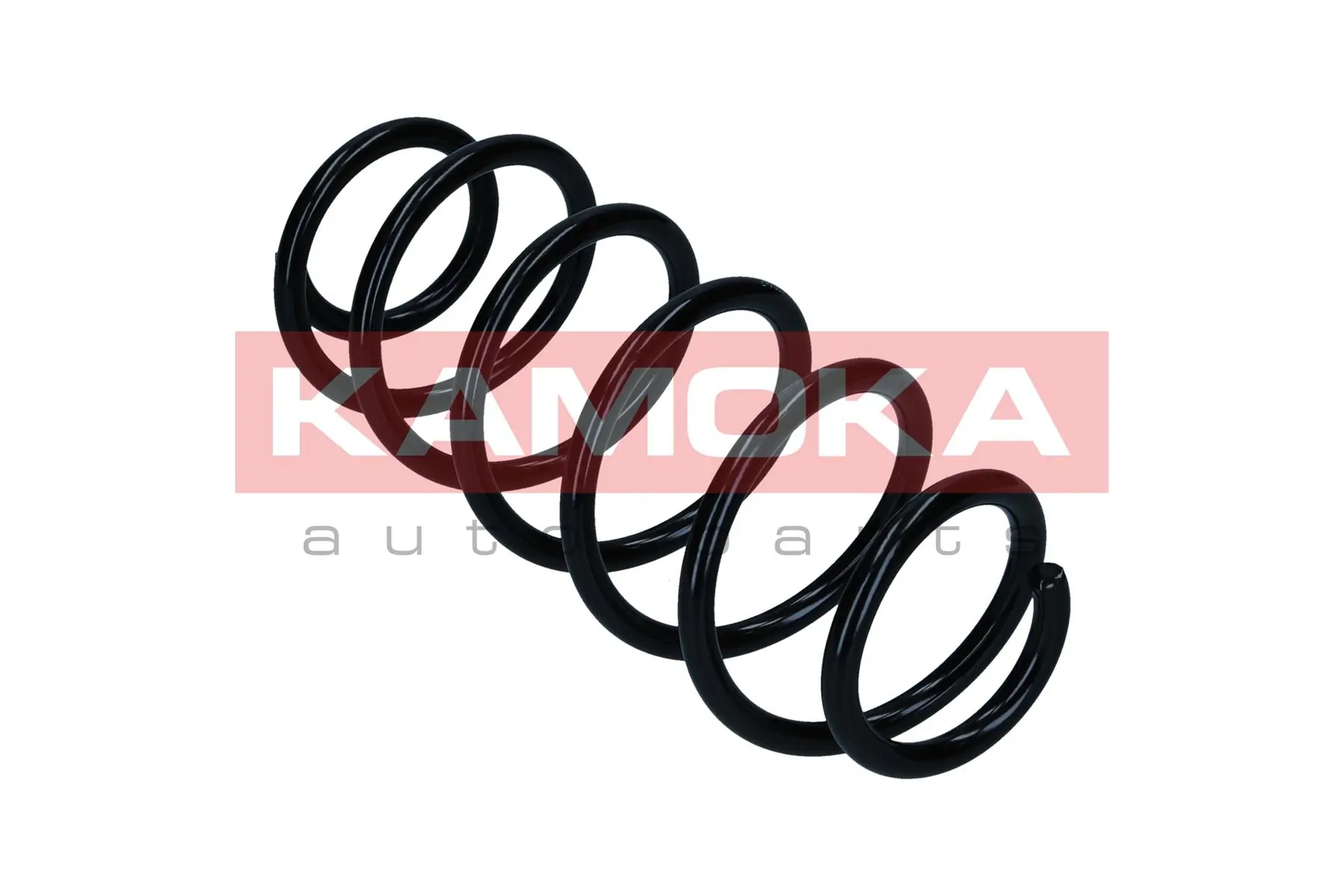 Suspension Spring 2120395