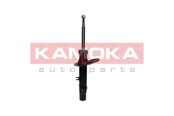 Shock Absorber 2000183