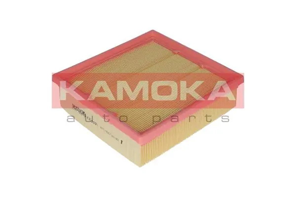 Air Filter F222001